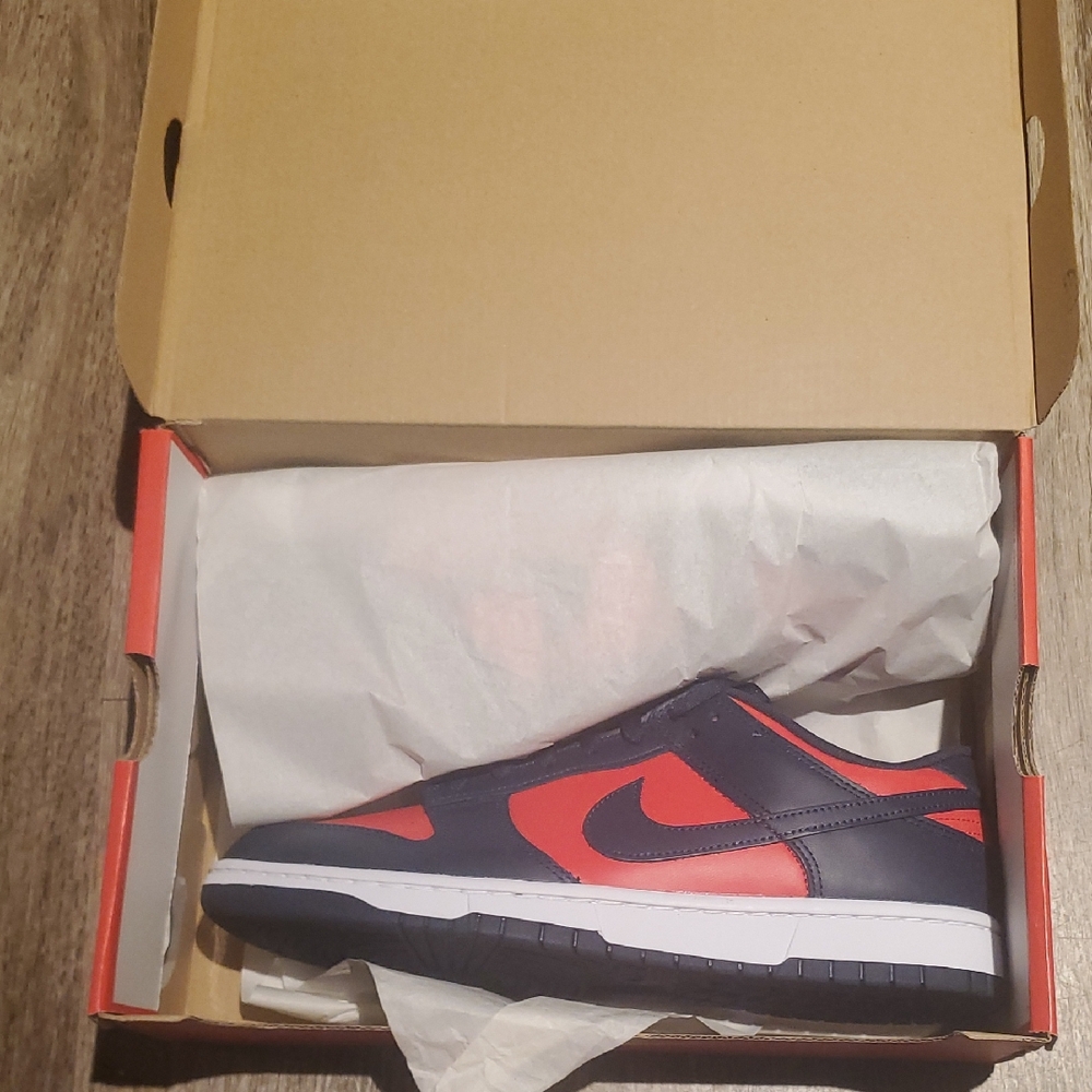 Nike Dunk Low Retro